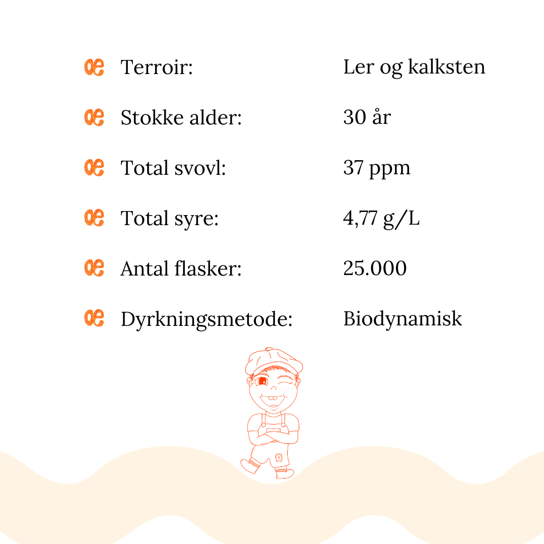 2021 Chateau Fouquet Saumur Rouge