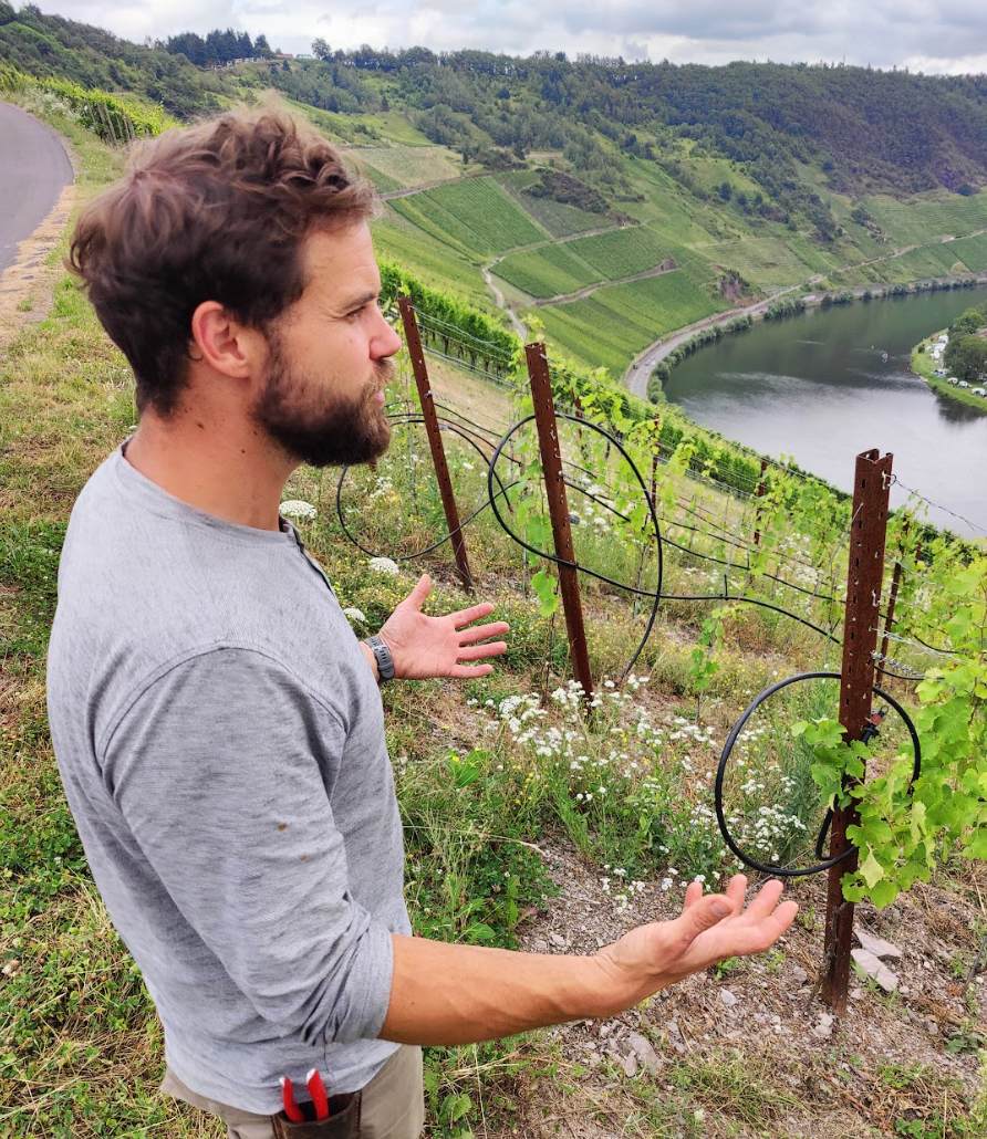 Nomad Wines