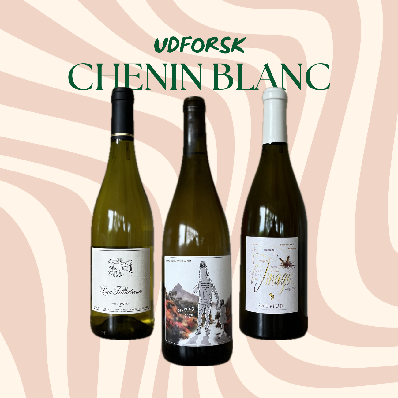 Udforsk 3 Chenin Blancs